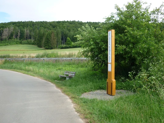 Bibel-Pfahl bei Istrup Ein Holzpfahl mit Bibelzitat steht neben einer Landstraße vor einem grünen Wald und Wiesen bei Brakel.