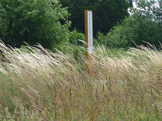 Bibel-Pfahl bei Istrup Ein hölzerner Pfahl mit Bibelspruch steht inmitten hoher Gräser und Bäume bei Istrup in Brakel.