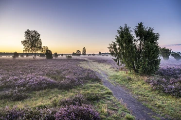 Sonnenaufgang im Wacholderwald Wandern im Sonnenaufgang im Wacholderwald Schmarbeck