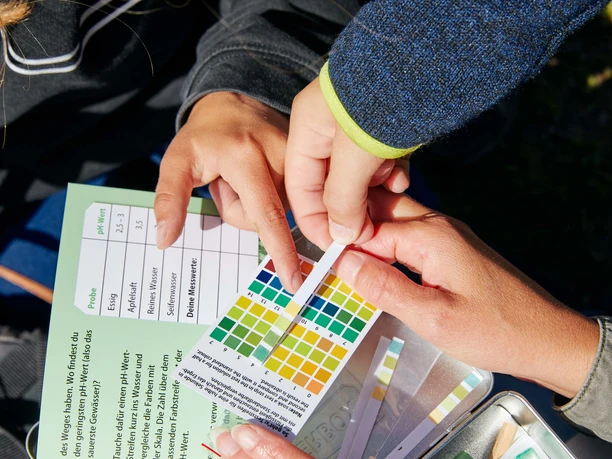 20210922_PH Steifen_Sommer_Grosser Moorrundweg_Mooraculum_Rossweid_Soerenberg_Beat Brechbuehl_09_21 (83).jpg