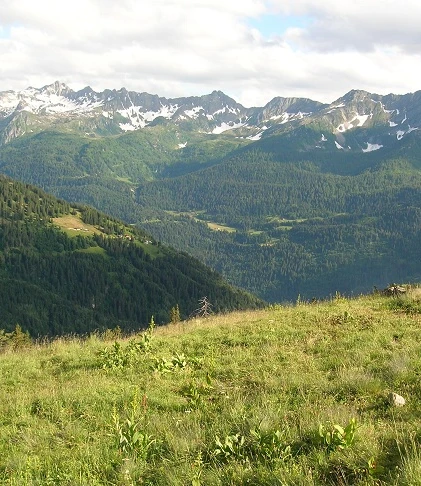 Blick vom Passo Scimfuss