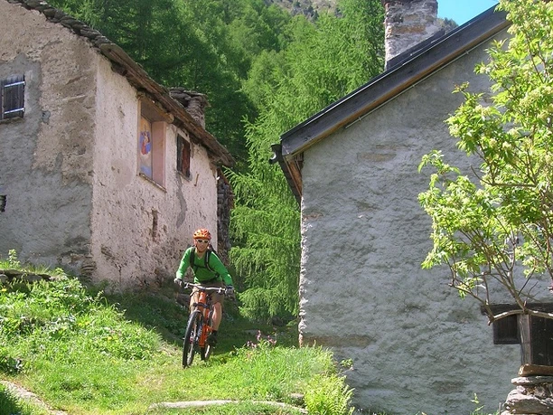 Rustici auf dem Weg nach Altanca