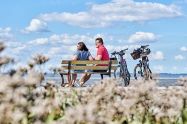 Radfahrer_Sehestedt