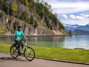 Rent a bike, ride a bike Fahrradfahren am VierwaldstätterseeCycling on Lake LucerneFaire du vélo au bord du lac des Quatre-Cantons