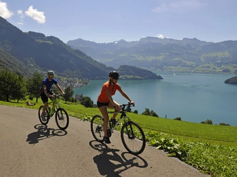 Fahrrad mieten, Velo fahren Fahrradfahren am VierwaldstätterseeCycling on Lake LucerneFaire du vélo au bord du lac des Quatre-Cantons