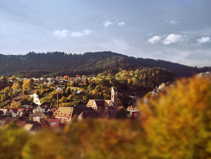 Alpirsbach Panorama Klosterkirche