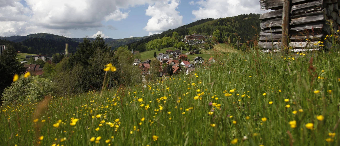 Durchatmen im Heilklima