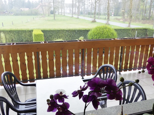 Blick von einem Balkon mit Holzgitter auf eine grüne Wiese, mit Orchideen im Vordergrund.