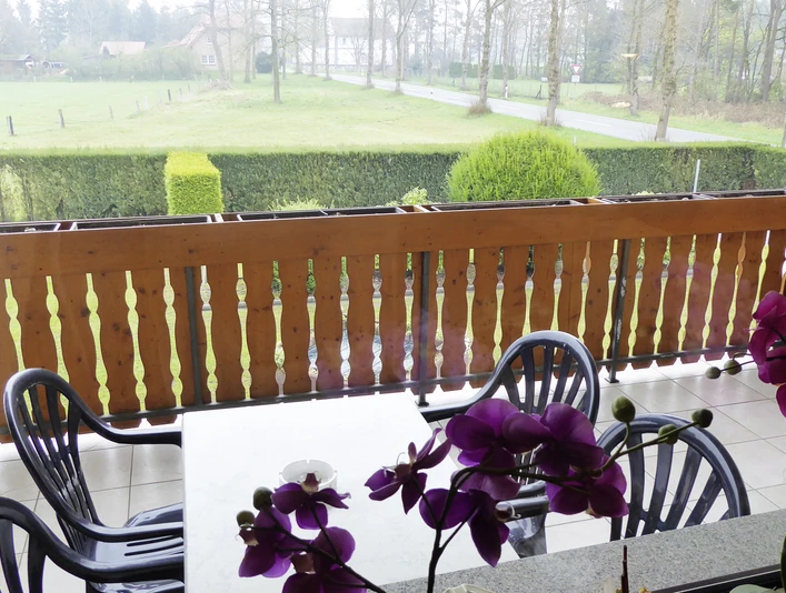 FeWo Schniedermann_Balkon_CC-BY-SA_Teutoburger_Wald_Stadt_Schloss_Holte-Stukenbrock.jpg Blick von einem Balkon mit Holzgitter auf eine grüne Wiese, mit Orchideen im Vordergrund.