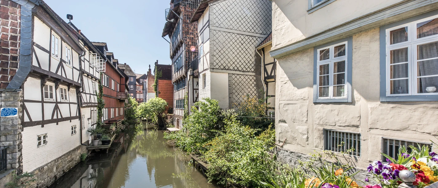 Klein Venedig Fachwerkhäuser an einer Gracht, Frühlingsblumen am Brückengeländer