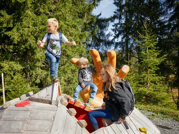 Moordämon_Sommer_Grosser Moorrundweg