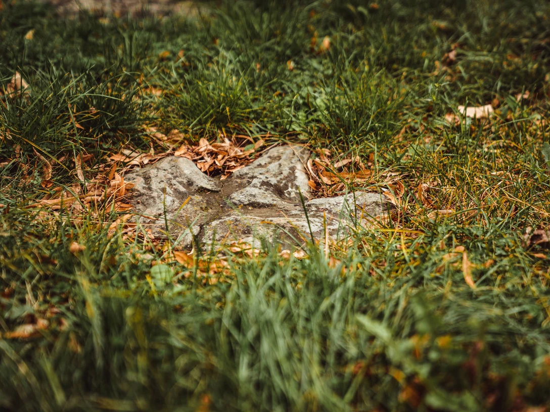 Dinosaurierspuren am Schlösschen