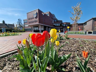 Gemeinde_Rhauderfehn_Außenansicht Gelb und rote Tulpen in einem Blumenbeet mit Blick auf das Klinkergebäude des Rathauses bei sonnigem Himmel.