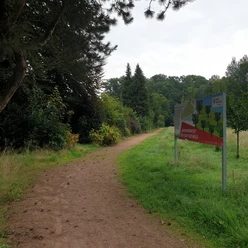 Dreibaechepfad_Babybaumwiese.jpg Ein unbefestigter Weg führt durch einen grünen Park, flankiert von Bäumen und einem Informationsschild.