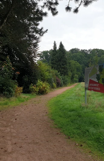 Dreibaechepfad_Babybaumwiese.jpg Ein unbefestigter Weg führt durch einen grünen Park, flankiert von Bäumen und einem Informationsschild.