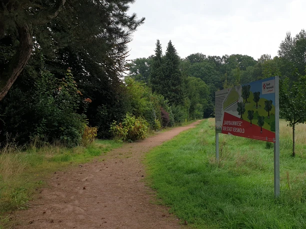 Dreibaechepfad_Babybaumwiese.jpg Ein unbefestigter Weg führt durch einen grünen Park, flankiert von Bäumen und einem Informationsschild.