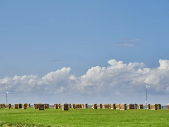 Grünstrand Dorum-Neufeld