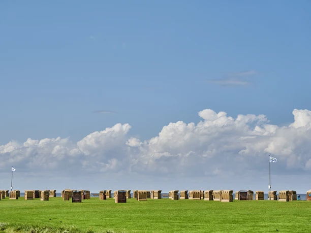 Grünstrand Dorum-Neufeld