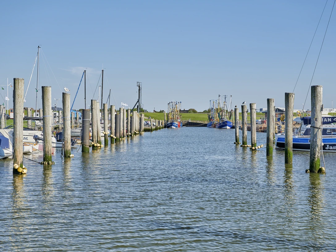 Kutterhafen in Dorum-Neufeld