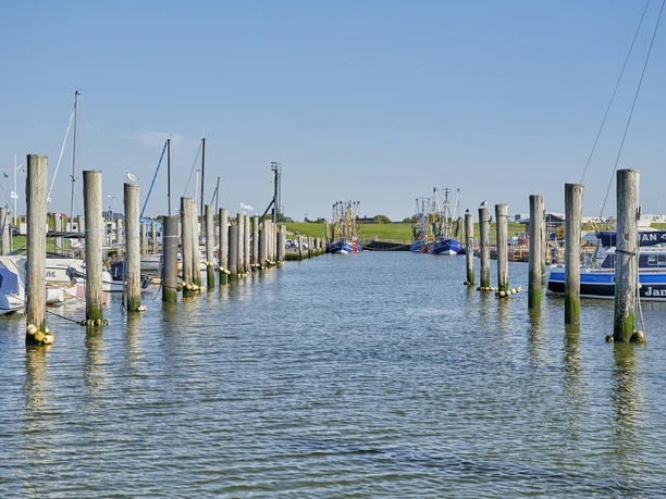 Kutterhafen in Dorum-Neufeld