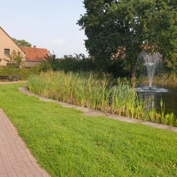 20230830_103015.jpg Ein kleiner Teich mit Brunnen in einem Park, umgeben von Gras, Bänken und hohen Schilfpflanzen.