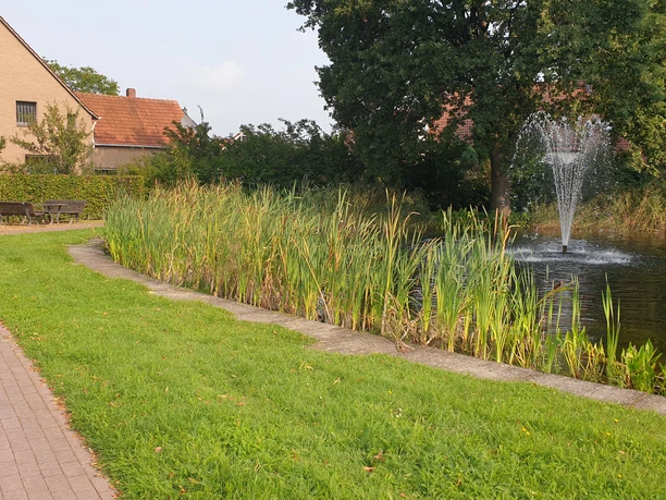 20230830_103015.jpg Ein kleiner Teich mit Brunnen in einem Park, umgeben von Gras, Bänken und hohen Schilfpflanzen.