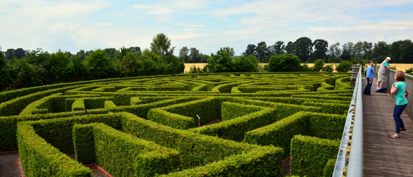 Groot, groen heggendoolhof met wandelaars op een verhoogd houten platform.