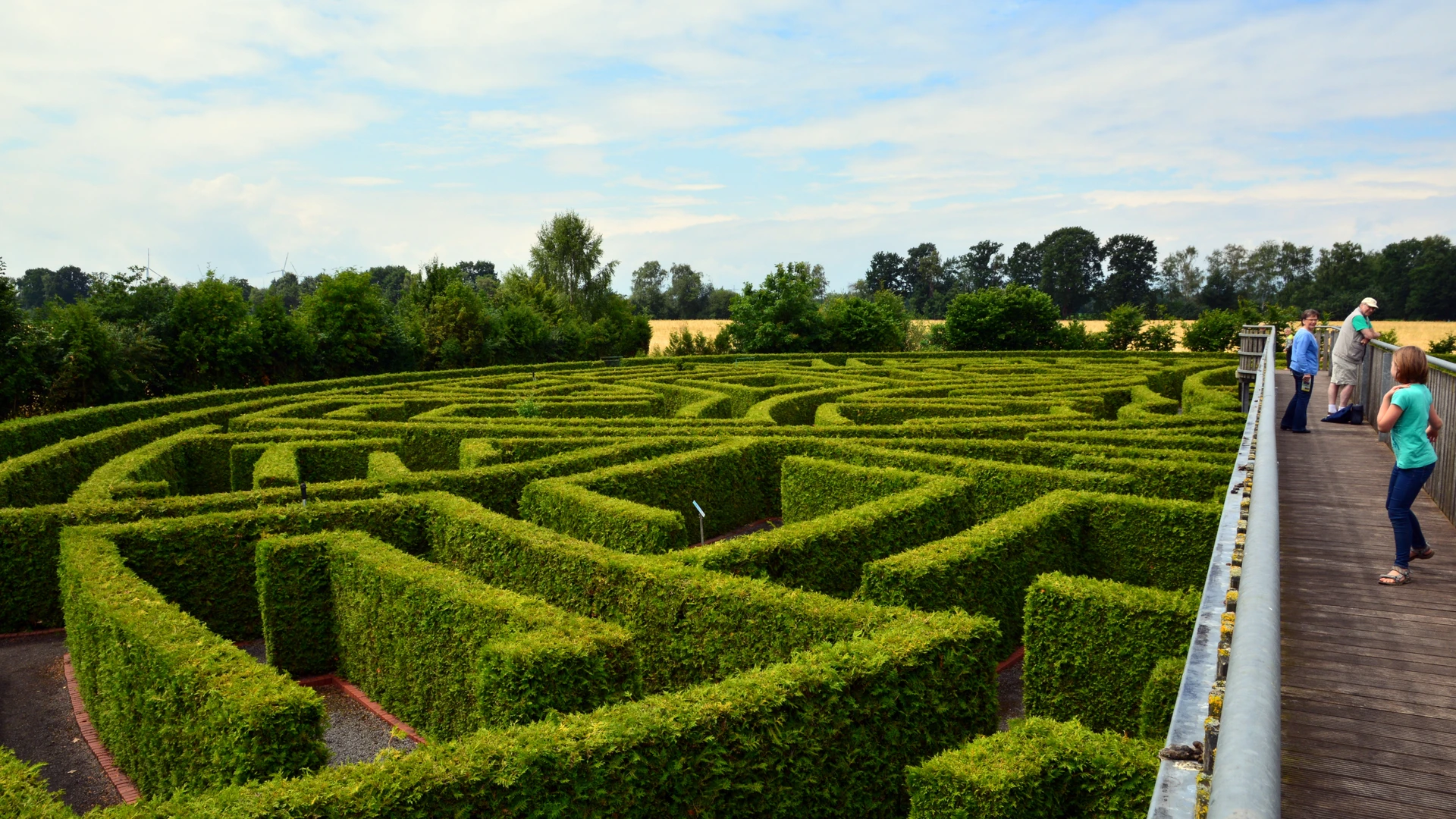 Großes, grünes Heckenlabyrinth mit Spaziergängern auf erhöhter Holzplattform.