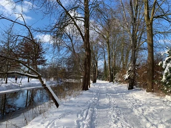Verschneiter Parkweg mit kahlen Bäumen, entlang eines ruhigen Flusses bei klarem Winterhimmel.
