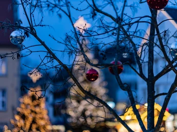 Ein festlich geschmückter Baum mit glitzernden Weihnachtskugeln vor unscharf beleuchteten Gebäuden.