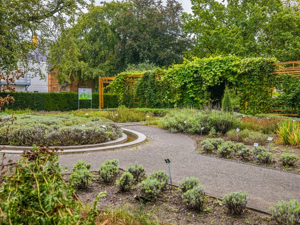 Jardin de la pharmacie de l'Université de Leipzig- Parcs à Leipzig Le jardin de l'apothicaire fait partie du jardin botanique de l'université de Leipzig. De nombreuses plantes médicinales y poussent.