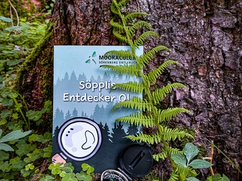 Söppli_Entdecker OL Söppli_Entdecker OL