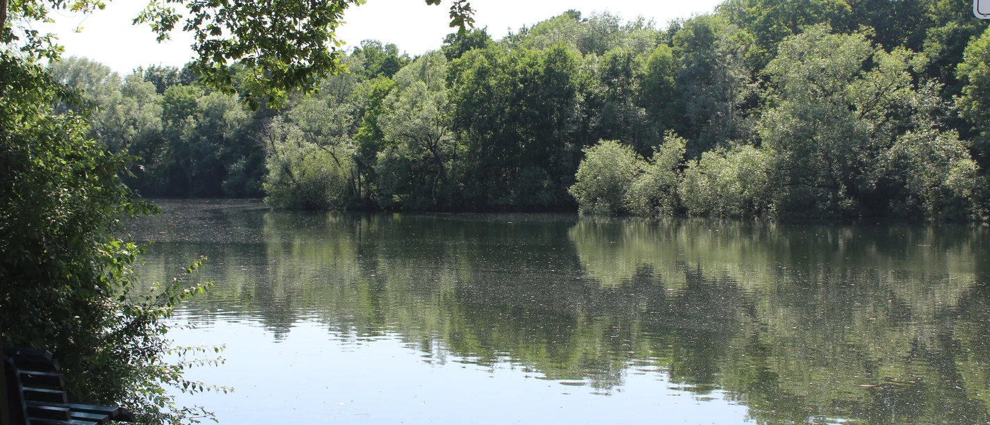 Campingplatz am Landwehrsee Ein ruhiger See mit umgebenden Bäumen und zwei kleinen Booten im Vordergrund bietet eine friedliche Naturkulisse.