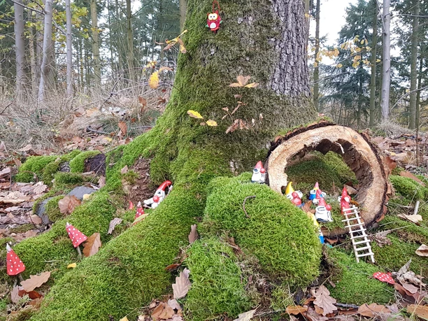 Ein kleines Wichtelheim im Moos