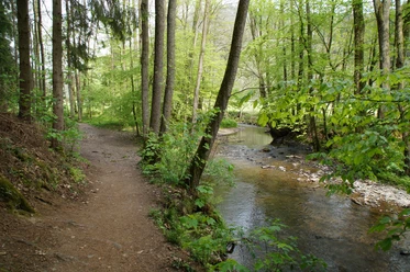 Eifgenbachweg <p>Ein schmaler Waldweg verläuft parallel zu einem plätschernden Bach, umgeben von dichtem Grün.</p>