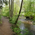 Eifgenbachweg <p>Ein schmaler Waldweg verläuft parallel zu einem plätschernden Bach, umgeben von dichtem Grün.</p>