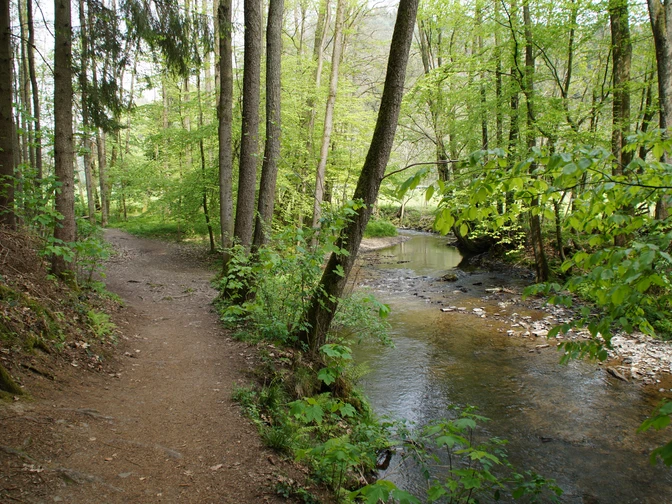 Eifgenbachweg <p>Ein schmaler Waldweg verläuft parallel zu einem plätschernden Bach, umgeben von dichtem Grün.</p>