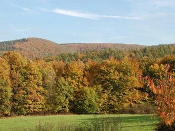 Ihr Blick in den Nationalpark!