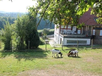 Storchennest; Freisitz und Eingang (linke Tür)