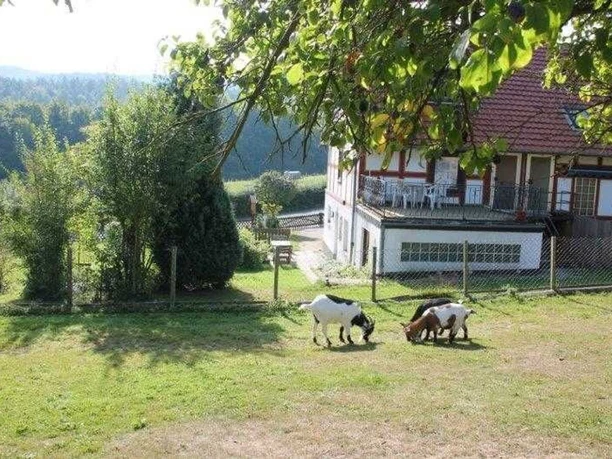 Storchennest; Freisitz und Eingang (linke Tür)
