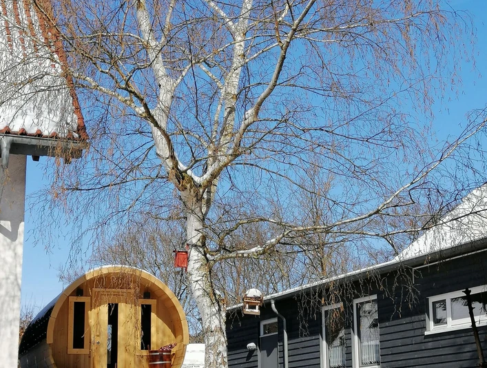 Ferienhaus Panoramablick