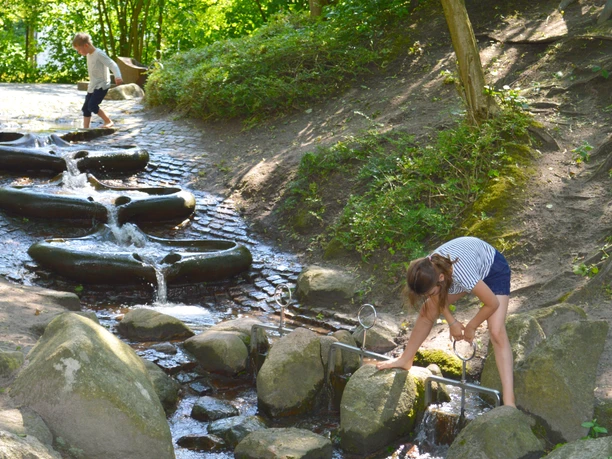 Bachlauf in den Spiel- und Wasserlandschaften am Vörder See Bachlauf in den Spiel- und Wasserlandschaften am Vörder See