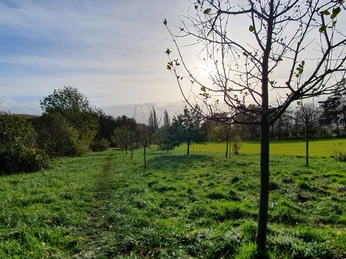 NABU-OASE Streuobstwiese