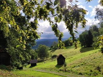 Weisenbach Heuhütten