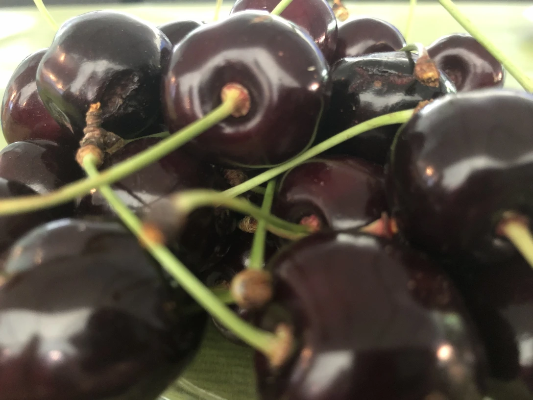 Frische, dunkelrote Kirschen mit grünen Stielen eng beieinander auf einer glatten Oberfläche.