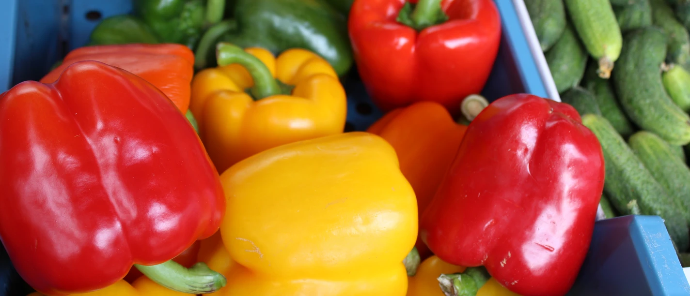 Obst & Gemüse (12) Verschiedene bunte Paprikaschoten in Rot, Gelb und Grün neben kleinen, frischen Gurken.