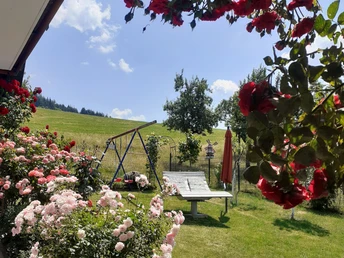 Blick in den Garten mit Himmelsliege