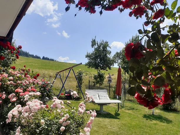 Blick in den Garten mit Himmelsliege