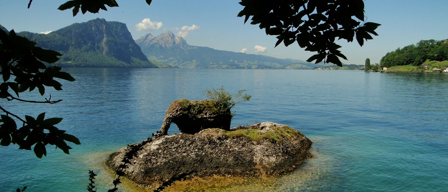 Vitznau Elephant Stone