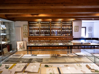 Ausstellung Apothekenmuseum